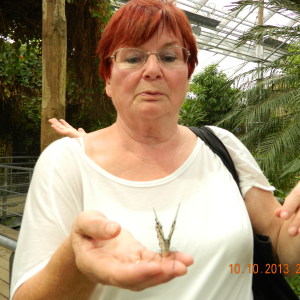 Profilbild von Gabriele Ellis