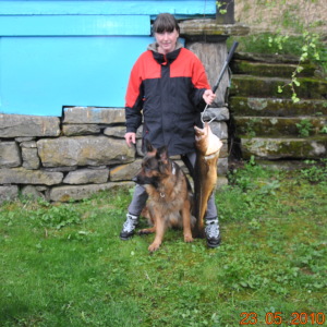 Profilbild von Gaby Völkel