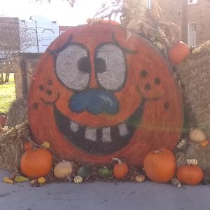 Profilbild von Gary Nordmann