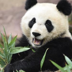 Profilbild von Gelcn Kilinc