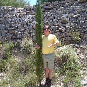 Profilbild von Georg Kaminiczny