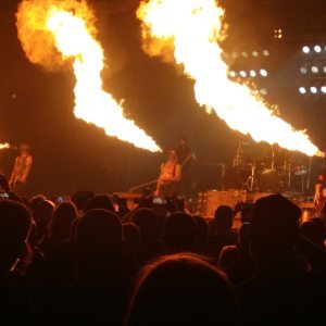 Profilbild von Gérard Lunau