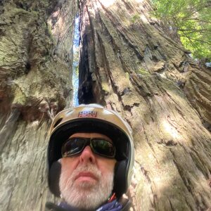 Profilbild von Gerd Goetzmann