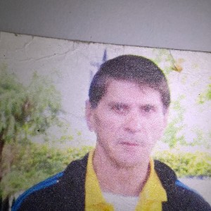 Profilbild von Gerd Lamm
