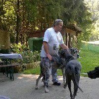 Profilbild von Gerd Pfotenhauer