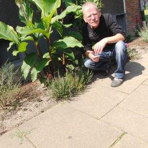 Profilbild von Gerhard Neubert