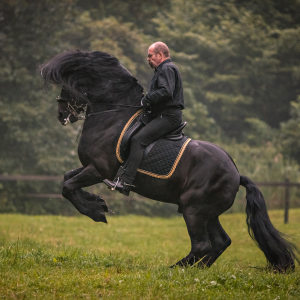 Profilbild von Gerhard Speicher