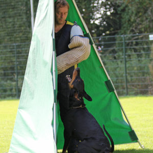 Profilbild von Gero Hermsen