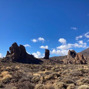 Profilbild von Giovanni Carbotta