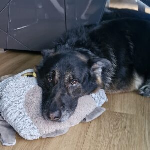 Profilbild von Gradvol Valentina