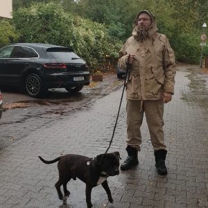 Profilbild von Gregor Stern