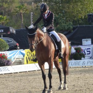 Profilbild von Greta Fierkens