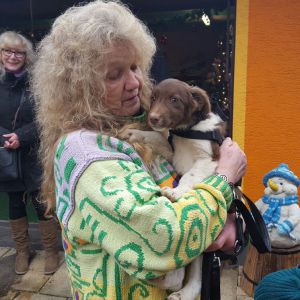 Profilbild von Gudrun Schader