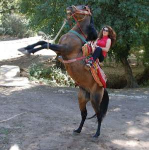 Profilbild von Gülistan Dimen