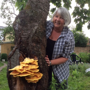 Profilbild von Hannelore Benthin