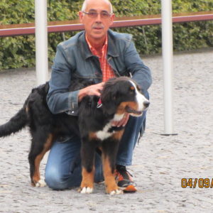 Profilbild von Hannes Miksche