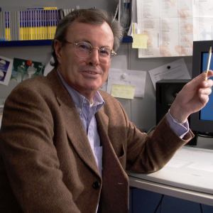 Profilbild von Hans-Dieter Auer