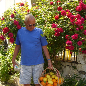 Profilbild von Hans-Dieter Frantzen