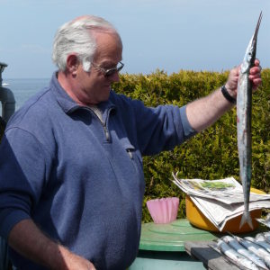 Profilbild von Hans-Georg Meibauer