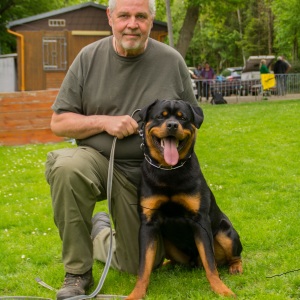 Profilbild von Hans Jürgen Bösel