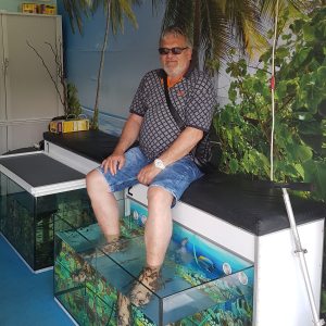 Profilbild von Hans-Werner Warschke