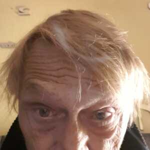 Profilbild von Hans Anders