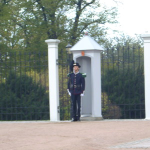 Profilbild von Hans Müller