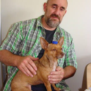 Profilbild von Harald Behrmann