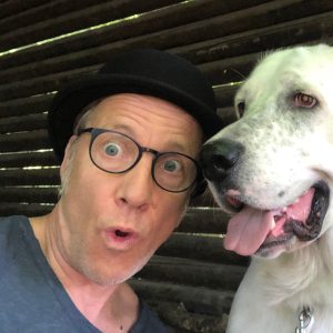 Profilbild von Harald Etheber