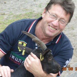 Profilbild von Harald Linthow