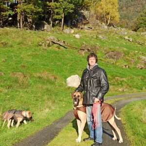 Profilbild von Harald Walter