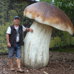 Profilbild von Harald Witt