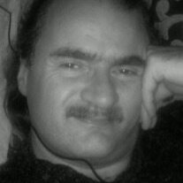 Profilbild von Hardy Dangel