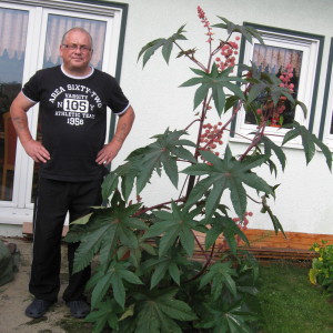 Profilbild von Harry Bergenthal