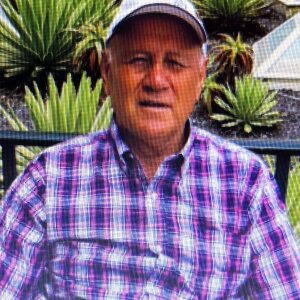 Profilbild von Harry Fontana