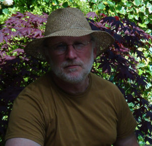 Profilbild von Harry Mittelstädt