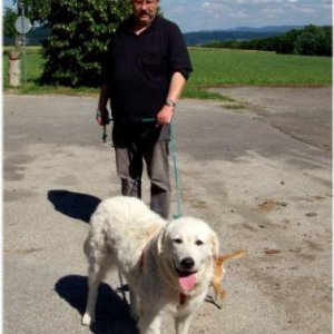 Profilbild von Harry Schreiber