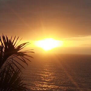 Profilbild von Hauke Neitzel