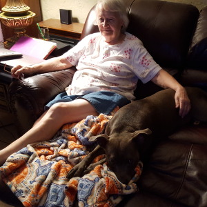 Profilbild von Hedwig Brenner