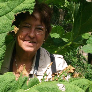 Profilbild von Heidi Rohloff