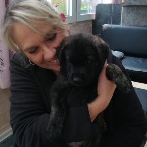 Profilbild von Heike Brettler