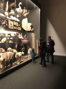 Profilbild von Heike Bruschies