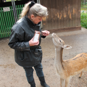 Profilbild von Heike Dandelski