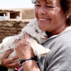 Profilbild von Heike Hillebrecht