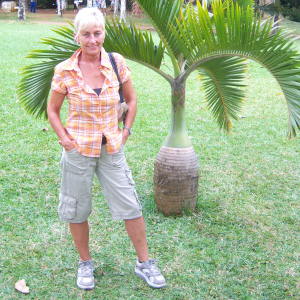 Profilbild von Heike Junge