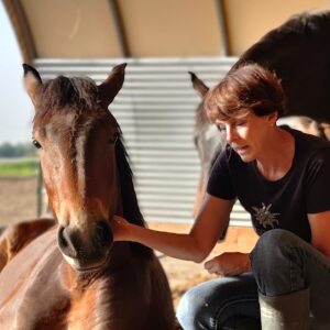 Profilbild von Heike Klippel-Braun