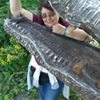 Profilbild von Heike Kroll