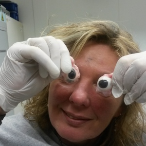 Profilbild von Heike Müller