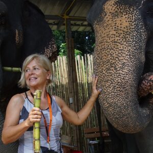 Profilbild von Heike Riley