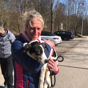 Profilbild von Heike Speckmann